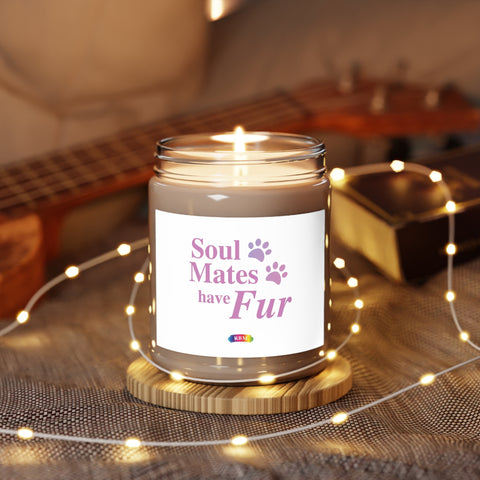 Scented Candles, 9oz - Soulmates have fur.