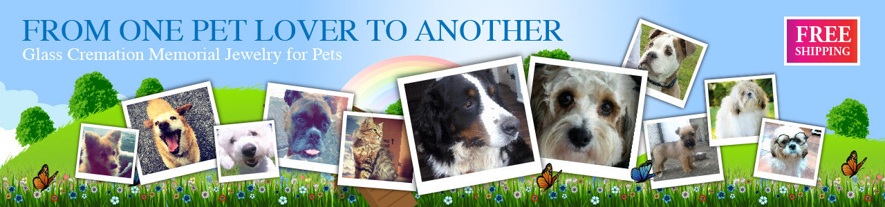 Pet Photos