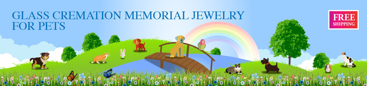 Pet photos with rainbow